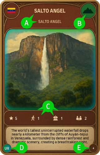 Instrukcja elementów karty